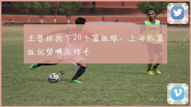 王哲林抢下20个篮板球,上海队篮板优势碾压对手